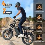 Hipatoo V8 Adult Electric Fat Tire Bike
