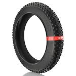 1PZ T20-X01 Fat Tire for All-Terrain E-Bikes