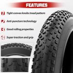 1PZ T20-X01 Fat Tire for All-Terrain E-Bikes