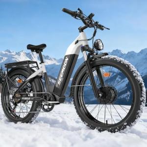 Seemoon 3000W Fat Tire Electric Bike for Adults