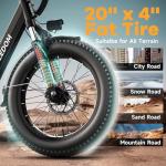 EUY 1500W Electric Bike with 70-Mile Range