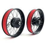 Dual Motor 48V 1000W eBike Conversion Kit