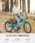VIRIBUS Adult Electric Tricycle with Removable Battery