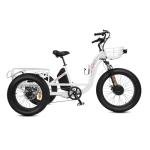 ECOTRIC Electric Tricycle for Adults,750W 48V 22.4AH Removable Battery,Fat Tire 7 Speeds Adult Electric Tricycle with Basket （White）