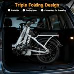 Folding Electric Bike for Adults with Fat Tires