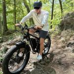 Peak 3000W All-Terrain Electric Bike - Blue