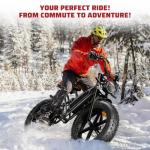 BALINGE 2 Pack Fat Tire for Ebike Mountain Bike Heavy Duty High-Performance Wear-Resistant E-Bike Mountain Snow Bike Tire 20" x 4"，Black，2 Tires 2 Tubes 2levers