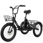 Vivi 750W Folding Electric Tricycle for Adults