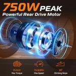 Vivi 750W Folding Electric Tricycle for Adults