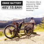 Hailong 36V/48V/52V Lithium Battery for eBikes