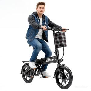 Sepado 750W Folding Electric Bike for Adults