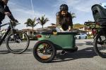 Burley Bike Trailer 16+ Wheel Kit