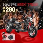 eAhora M1P Electric Trike for Adults, 2000W Brushless Motor 26MPH Electric Tricycle,60V 30AH Fast Charge Battery,F&R Disk Brake, Hydraulics Suspension,3 Wheel Electric Bikes