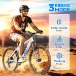 Totem 750W Electric Bike for Adults and Teens