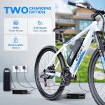 Totem 750W Electric Bike for Adults and Teens