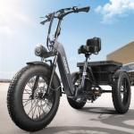 PUCKIPUPPY Adult Electric Tricycle with 60-Mile Range