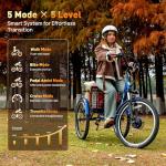 LUXECYCLES 24" Electric Trike with 350W Motor