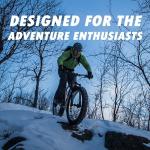 Terrene Cake Eater Studded 27.5x4.5 Fat Tires