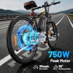 750W Electric Mountain Bike with Removable Battery