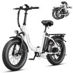 Heybike Ranger 1400W Electric Bike for Adults