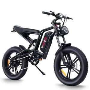 Windone E2X Full Suspension Electric Bike 28MPH