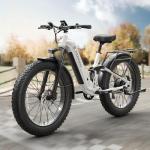 PUCKIPUPPY 960W Full Suspension Adult Electric Bike