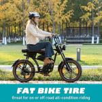 Balinge 20" Fat Tire Set for E-Bikes