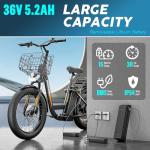 Caroma Peak 500W Fat Tire Electric Bike 20