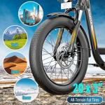 Caroma Peak 500W Fat Tire Electric Bike 20