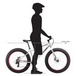 Men's Mangouste Malus Fat Tire eBike, Silver