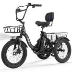ESKUTE Folding Electric Trike with 1200W Motor