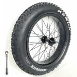 20'' Fat Bike Front Wheel Assembly with Tire