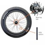 20'' Fat Bike Front Wheel Assembly with Tire