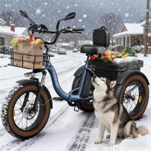 Adult Electric Tricycle with 55-Mile Range