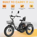 Skeri Electric Tricycle for Adults, 750W(Peak 1350W) Motor Etrike, 20"x4" Folding Fat Tire Electric Trike, 48V13Ah Battery, 3-Wheel Electric Bike, Front & Rear Basket & Differential, Classic Black