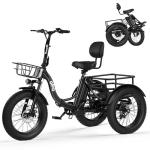 Qlife Triker Plus Adult Electric Folding Trike