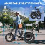 Qlife Triker Plus Adult Electric Folding Trike