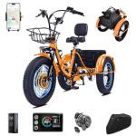 CroSight 2.0 Fat Tire Folding Electric Trike