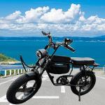 Fat Bike Fender Front and Rear Fender Set for Fat Tire Bike Wings Full Coverage Set for E-Bike Mountain Bike (Black, 26x4.0 INCH)