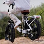 HEB VIPERESS 20x4.0 Fat Tire - Puncture Resistant Ebike Tires, 20x4 Fat Bike Tire for Electric Bike, MTB, Heavy Duty, All Terrain Tire for Street/Trail Riding - Qty 2