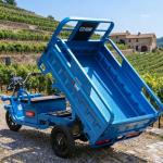 60-70Km Electric Cargo Tricycle Truck Simple Tricycle,1000W 60V 45Ah Large Capacity Battery,Load Capacity 1100Lbs