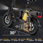 INSDRGN Electric Bike for Adults Peak 650W, 20 MPH Folding E Bike, 48V Removable Li Battery Ebike, Top 45 Miles PAS Range, 14" Fat Tire Bikes, with USB Charging Phone Holder, UL2849 Certified, Black