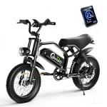 ADISTAR 16" Electric Bike for Adults & Teens – 750W Peak Motor 27.8MPH, 48V 15Ah Battery 60 Miles, 3.0 Fat Tire Ebike, Full Suspension, 4 Riding Modes (with Bicycle Phone Bag)