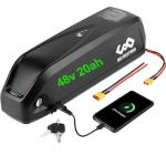 48V 20Ah Lithium Ion E-Bike Battery Pack