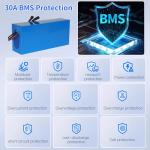 Veleylr 48V 10Ah Waterproof Lithium Ebike Battery