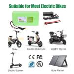 48V 30Ah Lithium Ion Battery for eBikes