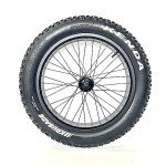 20'' Fat Bike Front Wheel Assembly with Tire