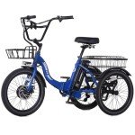 Soumye 20" Folding Electric Tricycle for Adults