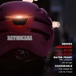 Matte Purple eBike Helmet with Rechargeable Taillight