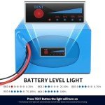 VISET 48V/36V/24V Ebike Battery 10AH 14AH 20AH 30AH Electric Battery Lithium with BMS, Compatible with E-Bikes, Scooters, ATVs, Motorcycles and More, for 100-1000W Motor (24V 10AH(100W-500W))
